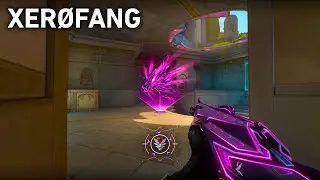 XERØFANG! BUNDLE OVERVIEW! 