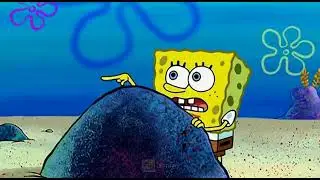 kontol laut
