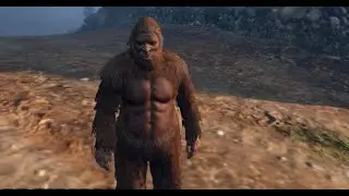 Gta 5 Online A Hótbolond team