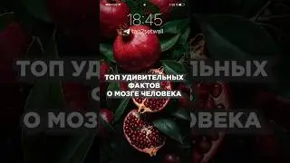 ТОП Удивительных фактов о мозге человека
