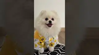 ДЕНЬ НЕ С ТОЙ НОГИ 😱