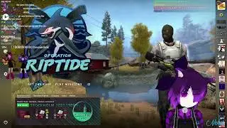 5 pepegas playing csgo | Day 294