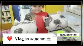 Влог за неделю ☕/у нас умерла крыса/#влог #животные #коты