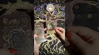 3 СОВЕТА ОТ КАРТ ДЛЯ ВАС!