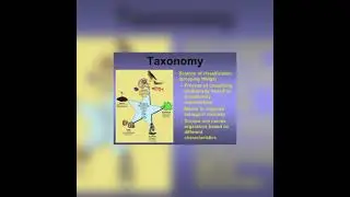 Taxonomy | Carl linn 🌐 | 