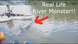BIGGEST Fish in the River Caught on my NEW KAYAK!!