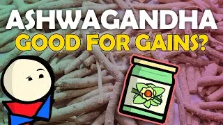 Ashwagandha - Next Big Thing? Maybe, Here's Why.
