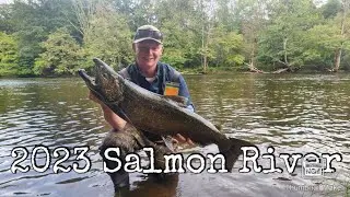 2023 Salmon River - Early Run!