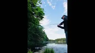 Boothbay Bonanza: Hauling in a Bass from a Maine Pond! #fishing #basslake #basscoast #lake