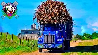 Puro Kenworth cañero mamalon