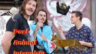 Post Animal Sings Acapella & Talks Chicago Music In Hilarious Interview