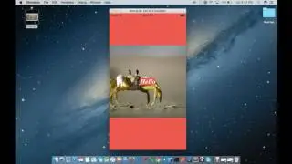 How to overlay Text on an Image - React Native
