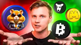 ⚖️ Hamster Kombat vs Blum, MemeFI & DOGS (Don't Waste Your Time)