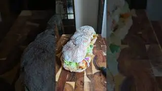 Chicken Tikka Sandwich 🔥🥪 