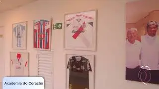 Tour pelo HCC