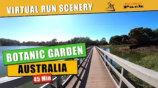 Virtual Run 45 min Botanic Gardens Australia  | No music