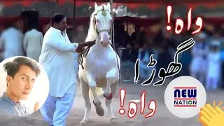 Great Horse Dance Big Festival