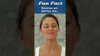 Fun Facts : Bananas 🤣