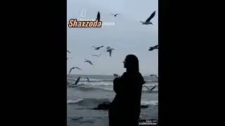 Хаммаси хисоб китобли  ☝🏻😒