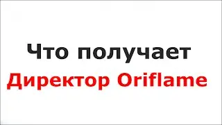 Что получает Директор Орифлейм. Бизнес Орифлейм в Интернете