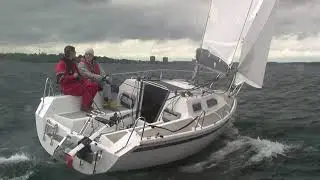Sailart 20
