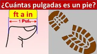 Cuantas pulgadas es un pie