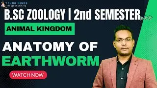 B.Sc Zoology | Anatomy of Earthworm