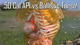 .50 Cal API vs Ballistic Torso! - Ballistic High-Speed