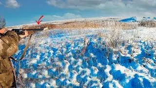 СТОЛЬКО ЗАЙЦЕВ Я ЕЩЕ НЕ ВИДЕЛ, Четыре зайца с куста. Добыл двоих.