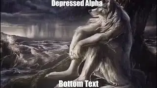Depressed Alpha.mov