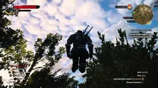 Wiedźmin 3 / Witcher 3 - bug