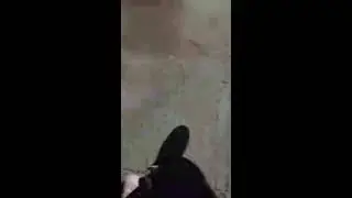 Ночная прогулка