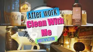 CLEAN WITH ME 2017 / AFTER WORK CLEAN / DANIELA DIARIES
