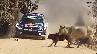 20 FUNNIEST RALLY MOMENTS