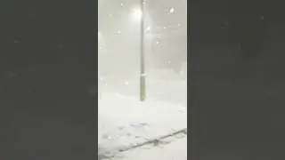 -55°