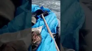 рыбалка на харюза