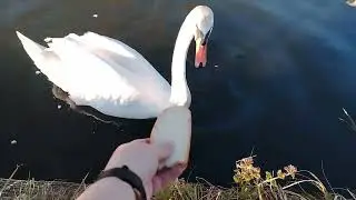 Беларусь. Природа