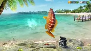 Fishing Clash Рыбалка