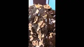 Chocolate Covered Pretzel