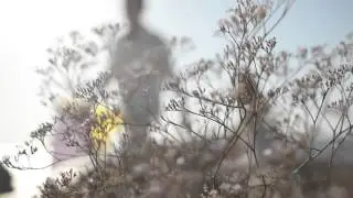 25 17 Звезда