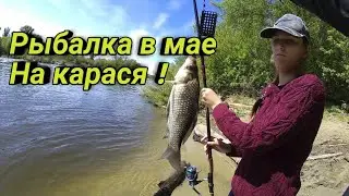 Рыбалка в мае. Ловля на донки.
