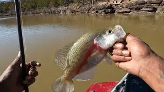 ((Chashing Lake Eufaula oklahoma Slabs)) Full moon didn't matter