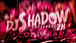 🎴 | NØ SLIDE 8 | 🎴 ▪︎ DJ SHADOW ZN