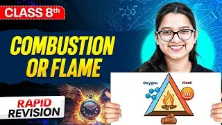 Combustion or Flame Class 8 ⚡️ || Revision In 7 Minutes || Science