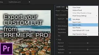 How to Export your CUSTOM LUT from Adobe Premiere Pro CC