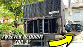 Tweeter Balap Kelas Lapangan wisdom DE900Neo untuk Line Array