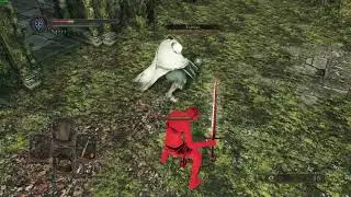 first time playing ds2 sotfs vs a hacker (infinite hp and stamina)