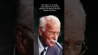 LESS KNOWN CARL JUNG BEST QUOTES ON LIFE #shorts #carljungquotes #motivation