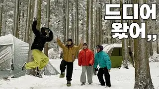 쉬지 않고 내린 폭설로 고립됐던 제주도 캠핑 ☃️ 해외 숲속 같았던 곳에서 애견캠핑을 곁들인