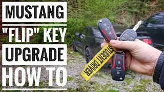 Mustang 